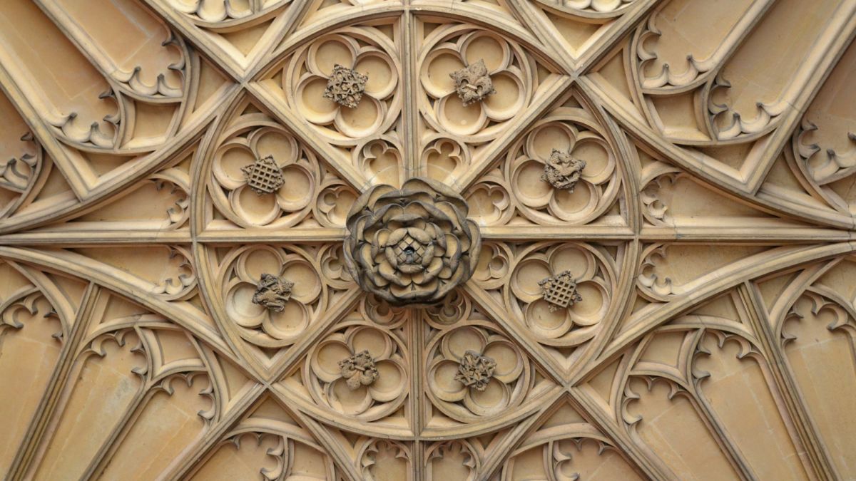 The Tudor Rose: Facts and History of Henry VII's Emblem