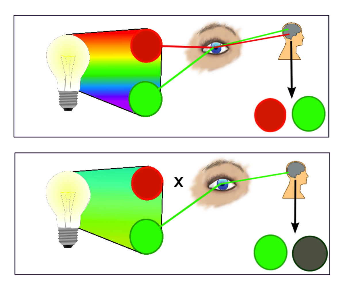 Easy Color Experiments: What Is Color? How Does Light Make Color? Why ...