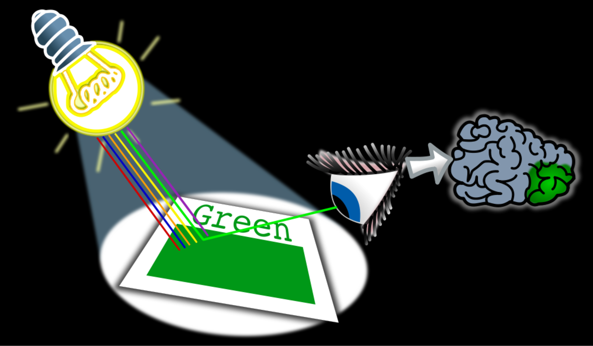 Easy Color Experiments What Is Color? How Does Light Make Color? Why Do Some Lights Make Colors