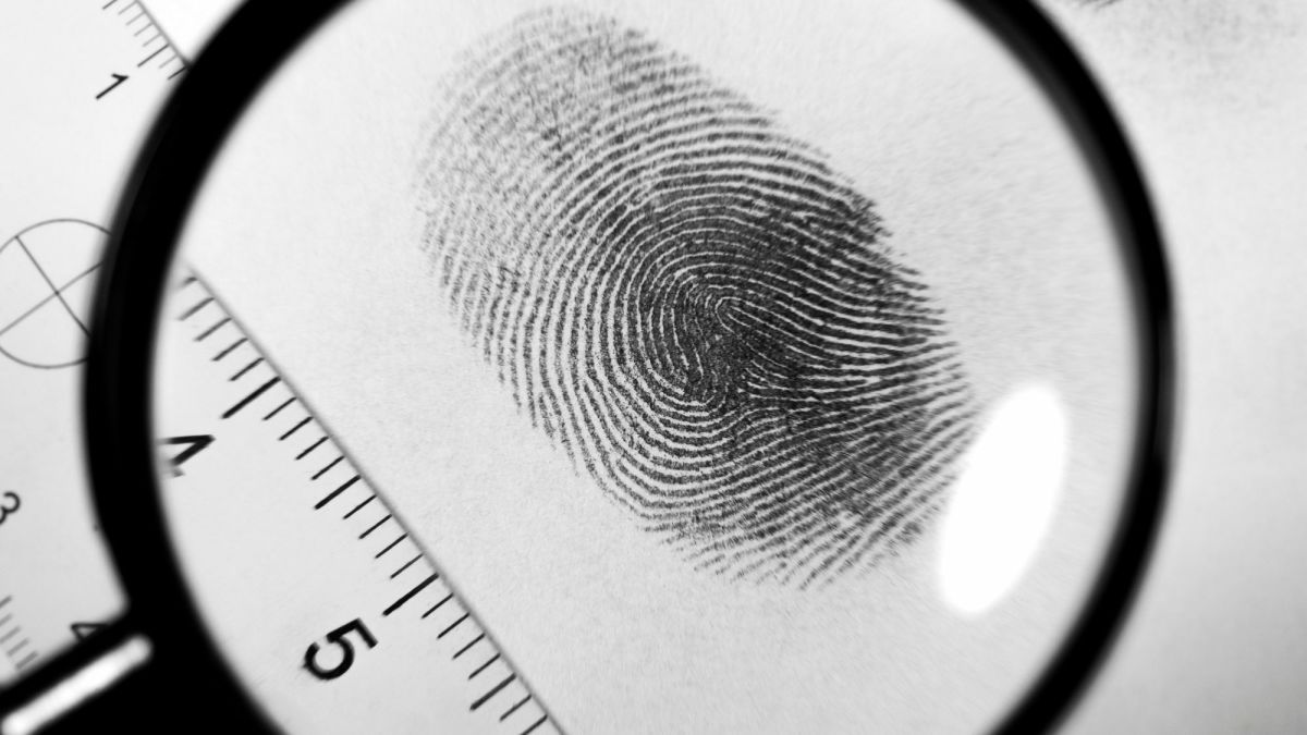Dactylography: The Scientific Study of Fingerprints