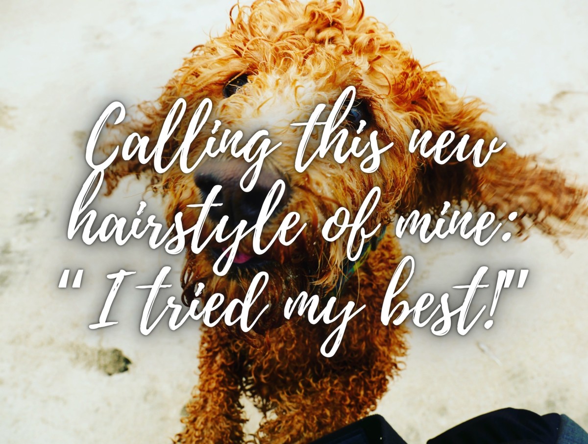 100 Marvelous Curly Hair Captions for Instagram (Quotes!)