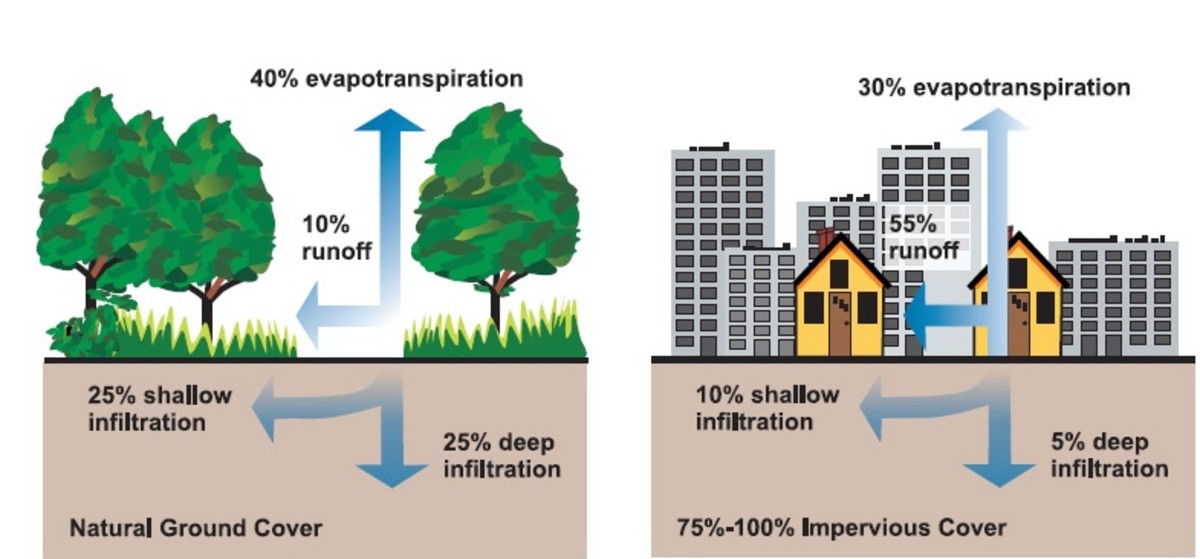 How Does Stormwater Runoff from Urban Forests Affect Groundwater ...