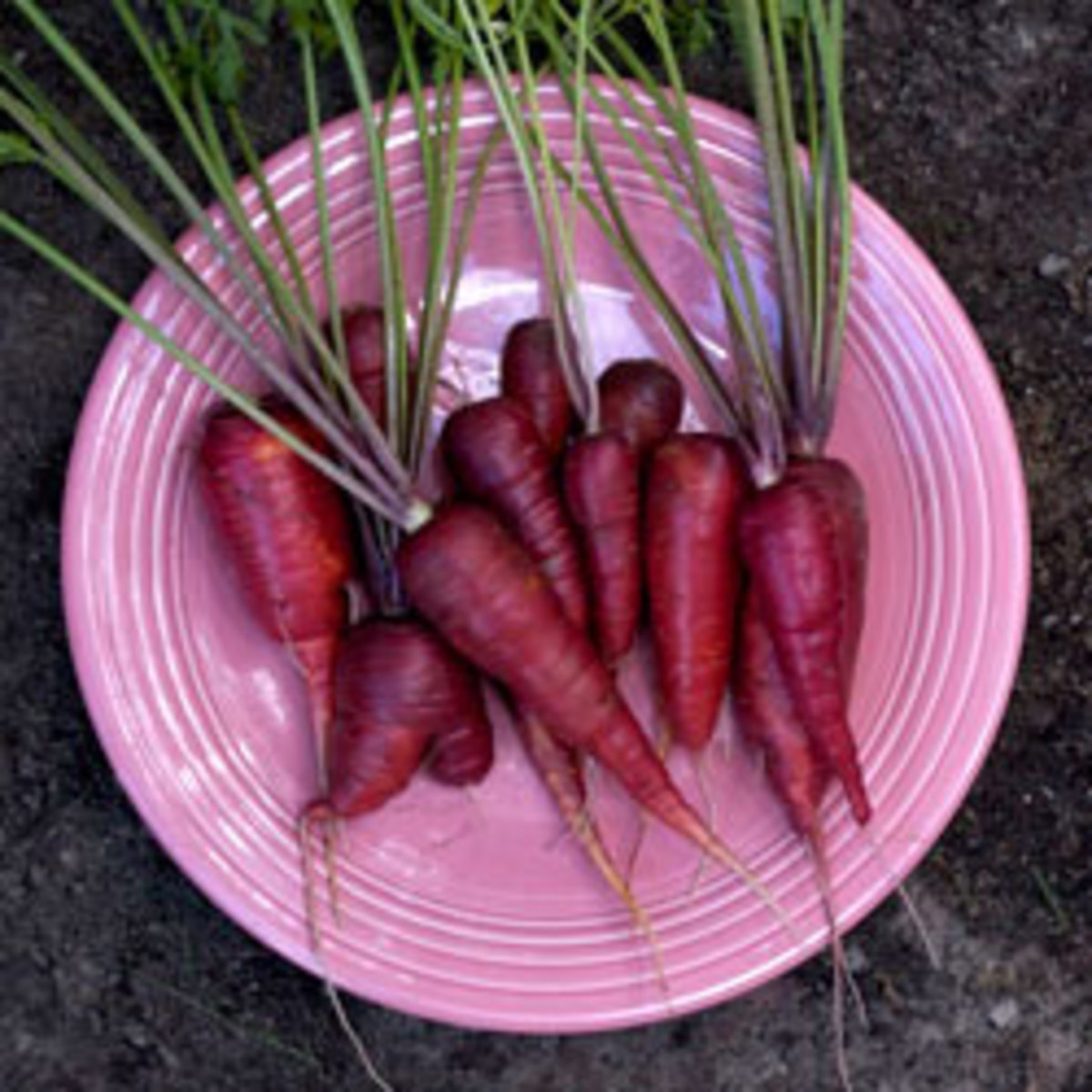 Purple Beads And How To Use Them HubPages