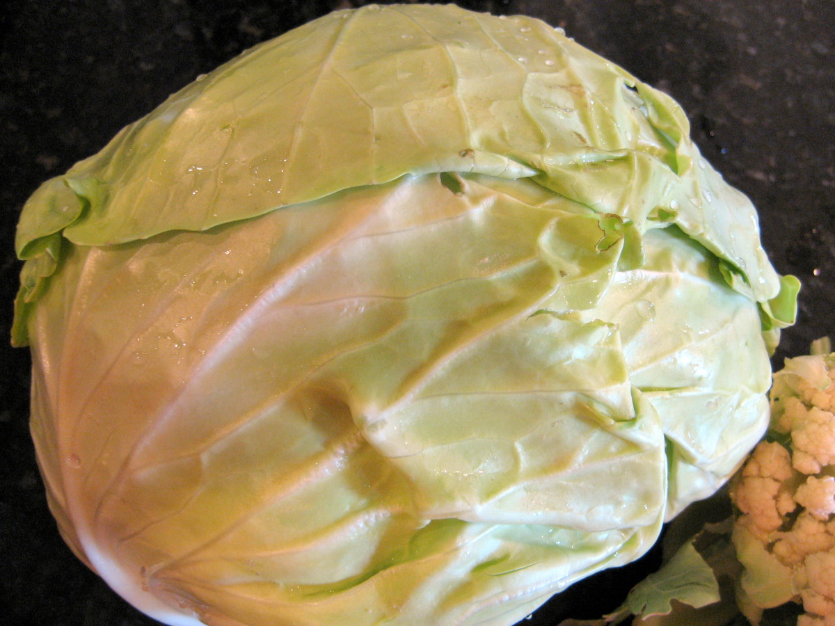 Spotlight on the Cabbage: History, Health Benefits, and Recipes - HubPages