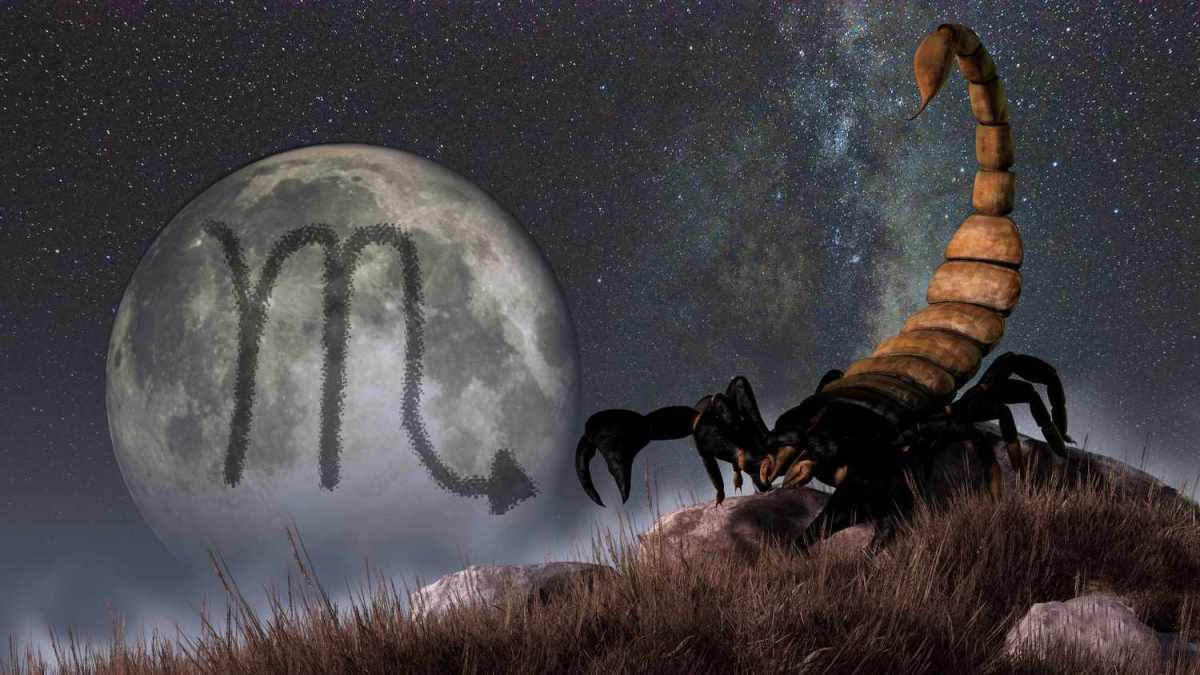 The New Moon in Scorpio Challenges You to Emotional Transformation