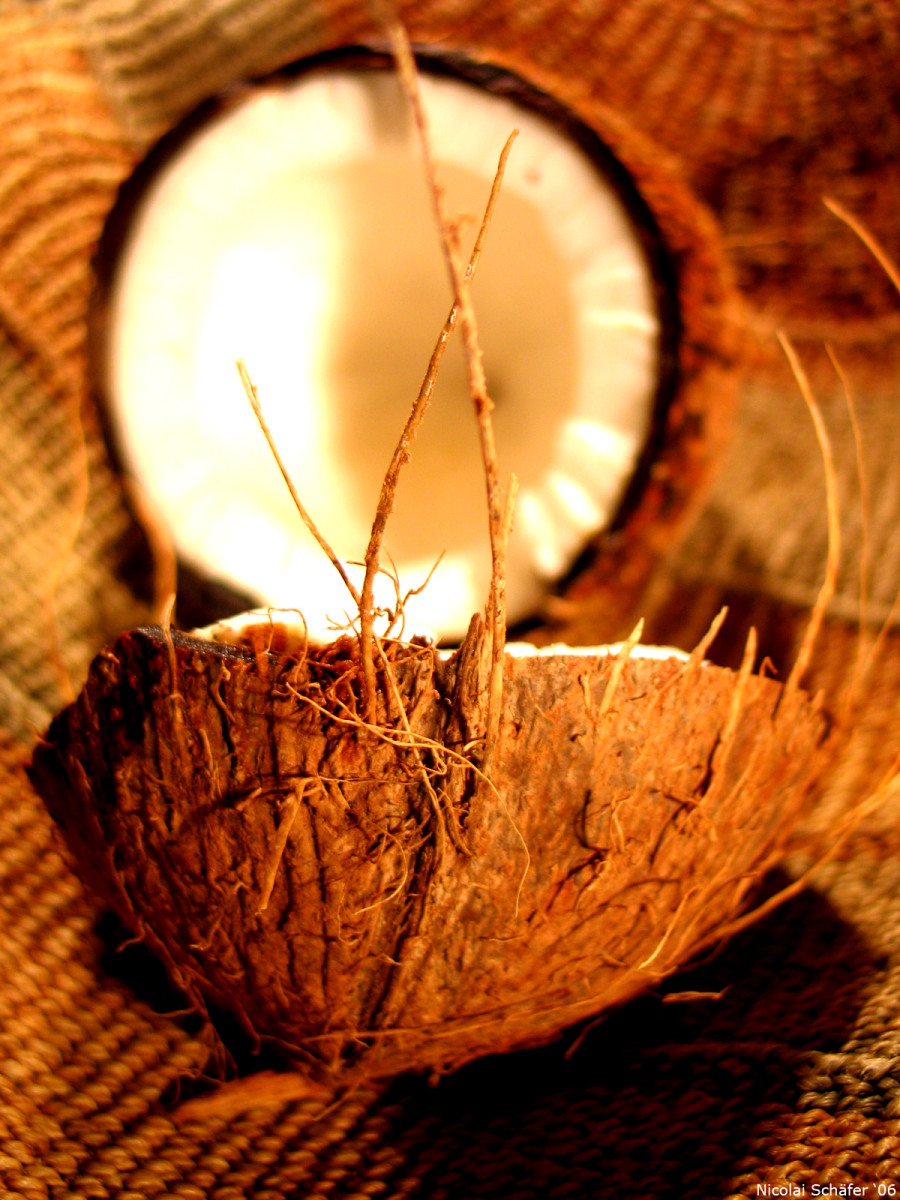 The Benefits of Using Coconut Oil in Your Daily Beauty Routine.