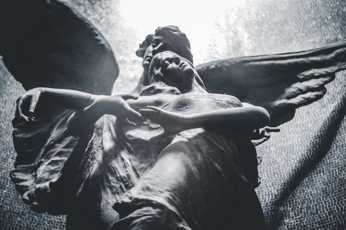 Wings of Lost Love