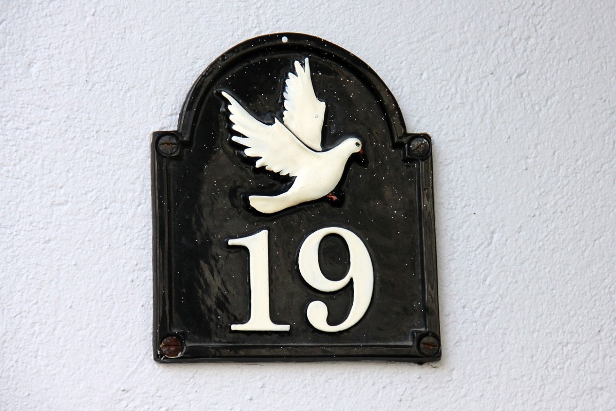 Why the Number 19 Brought Joy, Then Dismay, to Muslims