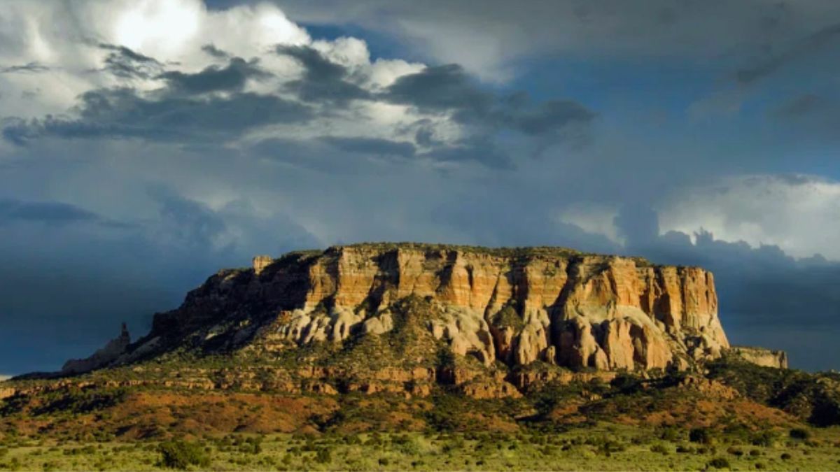 West Mesa Bone Collector: Albuquerque's Baffling Murder Case