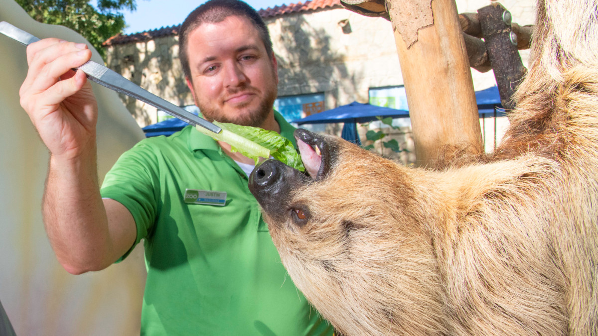 What Is the Job of a Zookeeper?