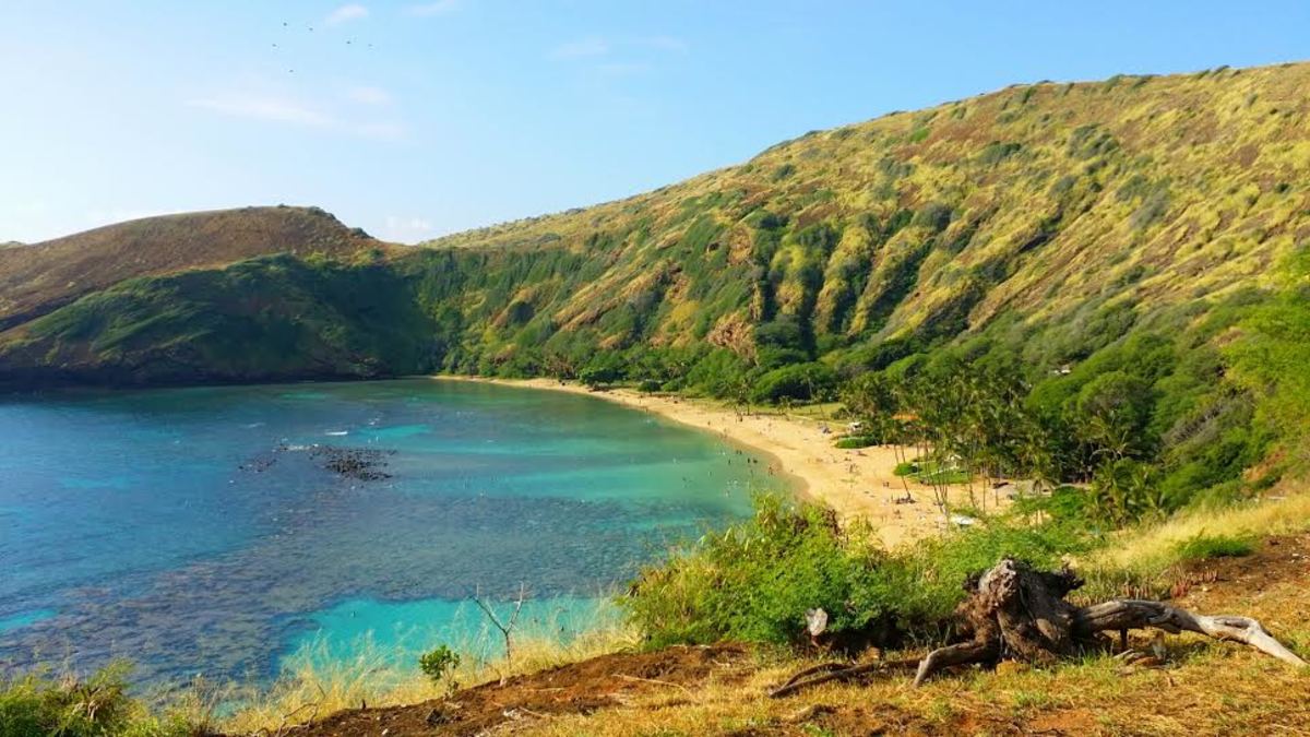 Hanauma Bay: Things to Do on Oahu, Hawaii - HubPages