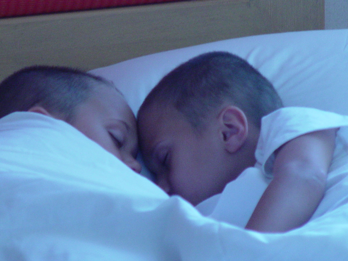 The Reality of Raising Twins or Why I Don't Remember the First Year Our Twins Were Alive!