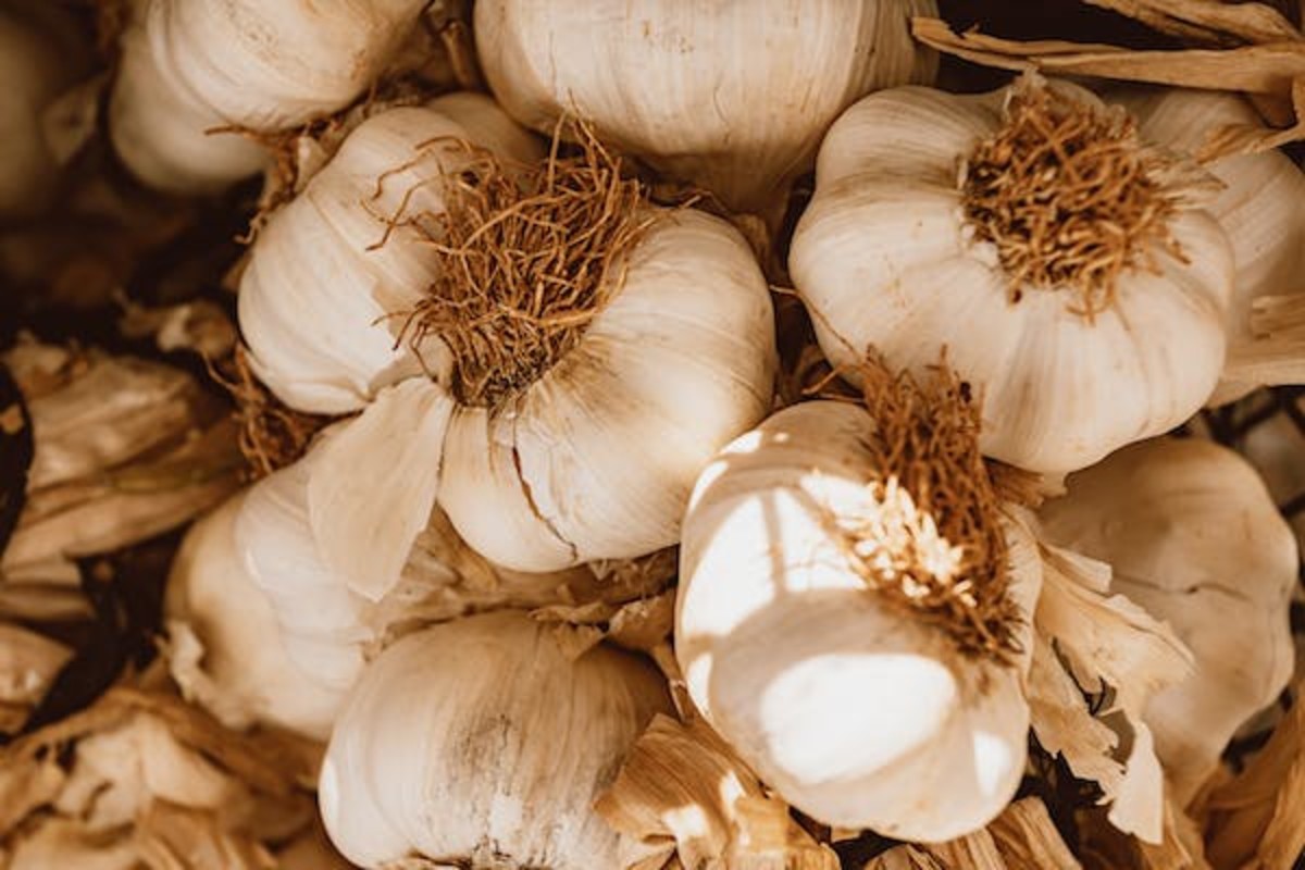 How Many Tablespoons is 2 Cloves of Garlic? HubPages