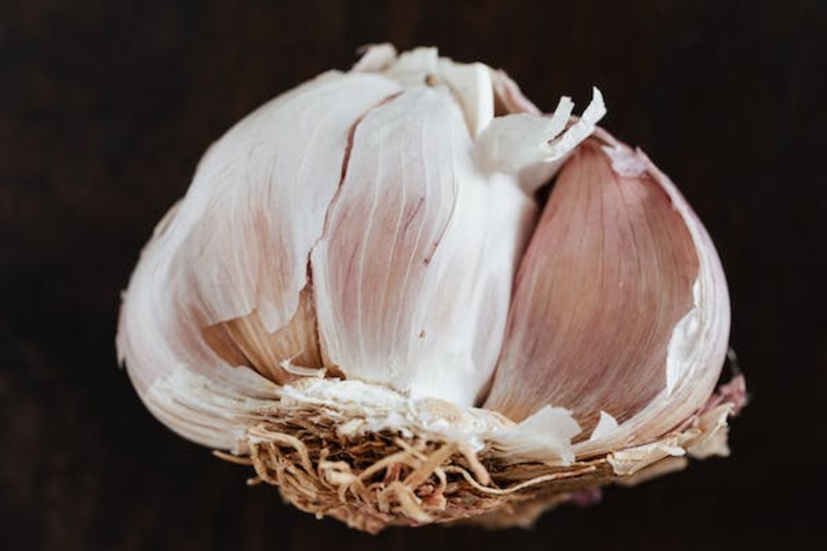 How Many Tablespoons is 2 Cloves of Garlic? HubPages