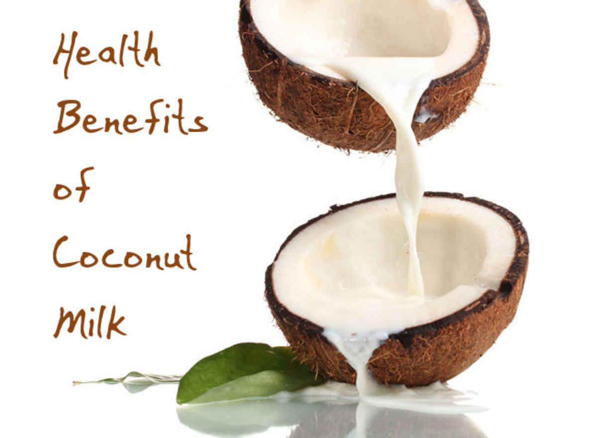Is Coconut Milk Good for You? HubPages