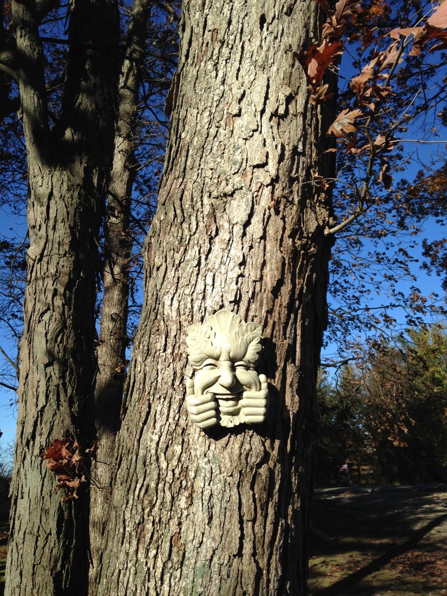 Tree Faces and Forest Faces