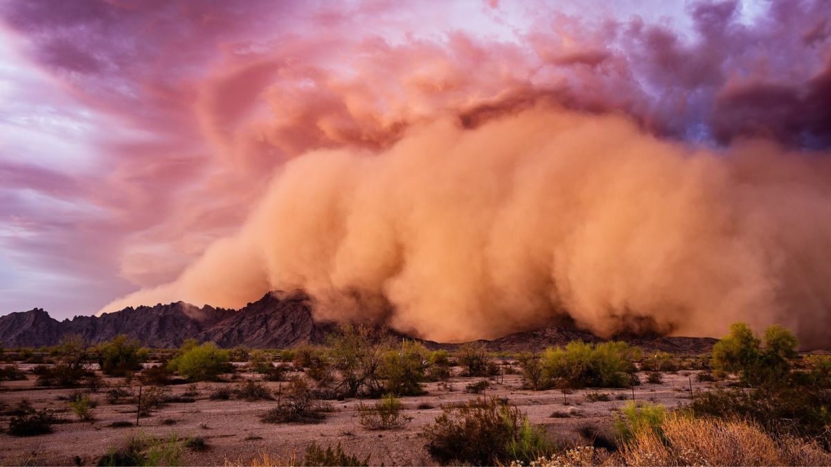 Desert Storm
