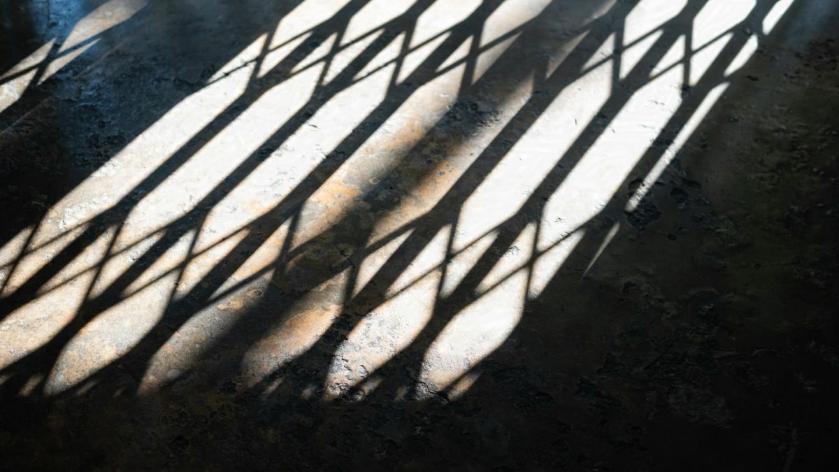 Shadows of Light