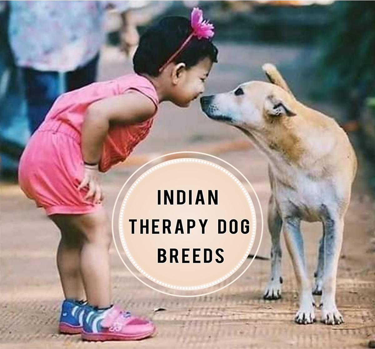 7 Best Indian Therapy Dog Breeds