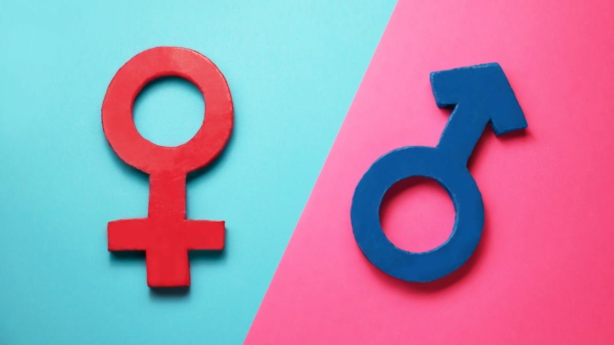 The Biological Explanation for Gender Differences