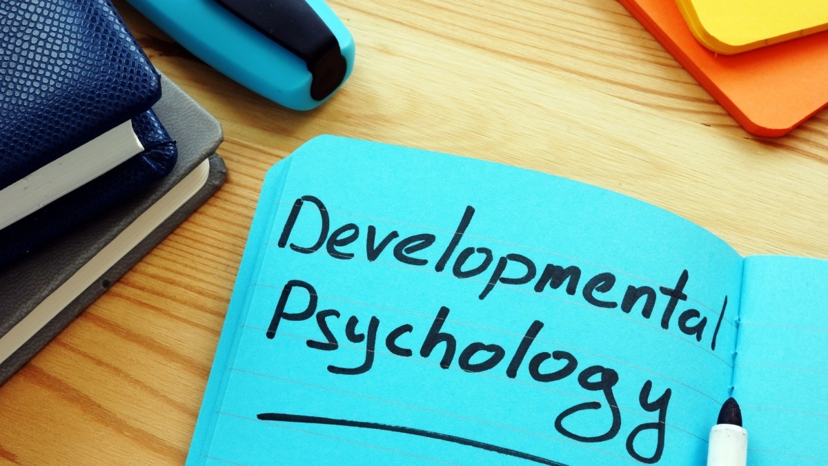 Developmental Psychology Studies You Need to Know