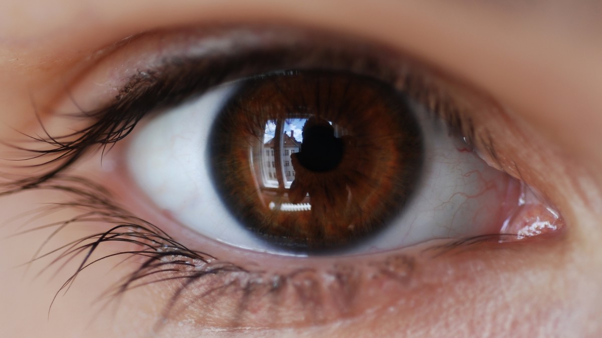 The Most Common Eye Color in the World