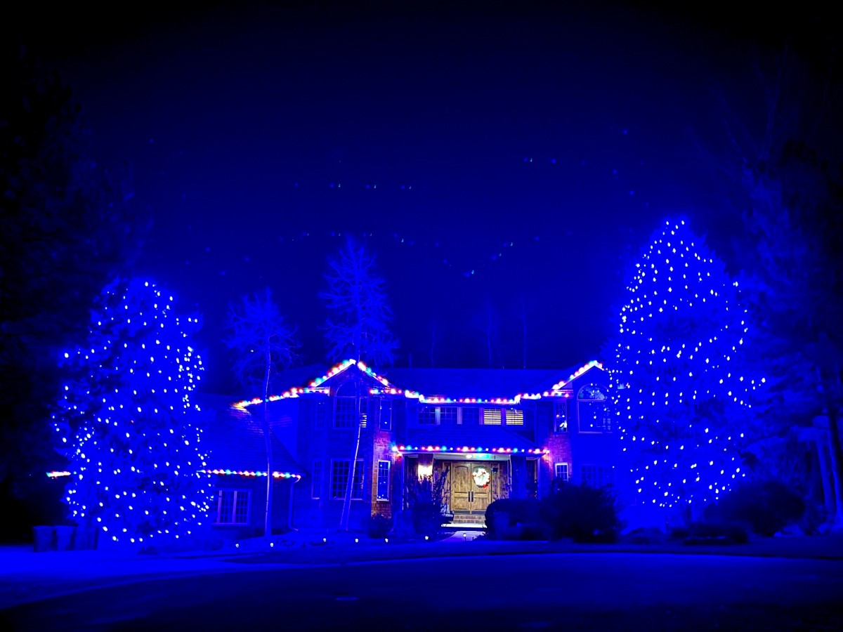Blue is the color of the night at this house flanked by two enormous trees. 