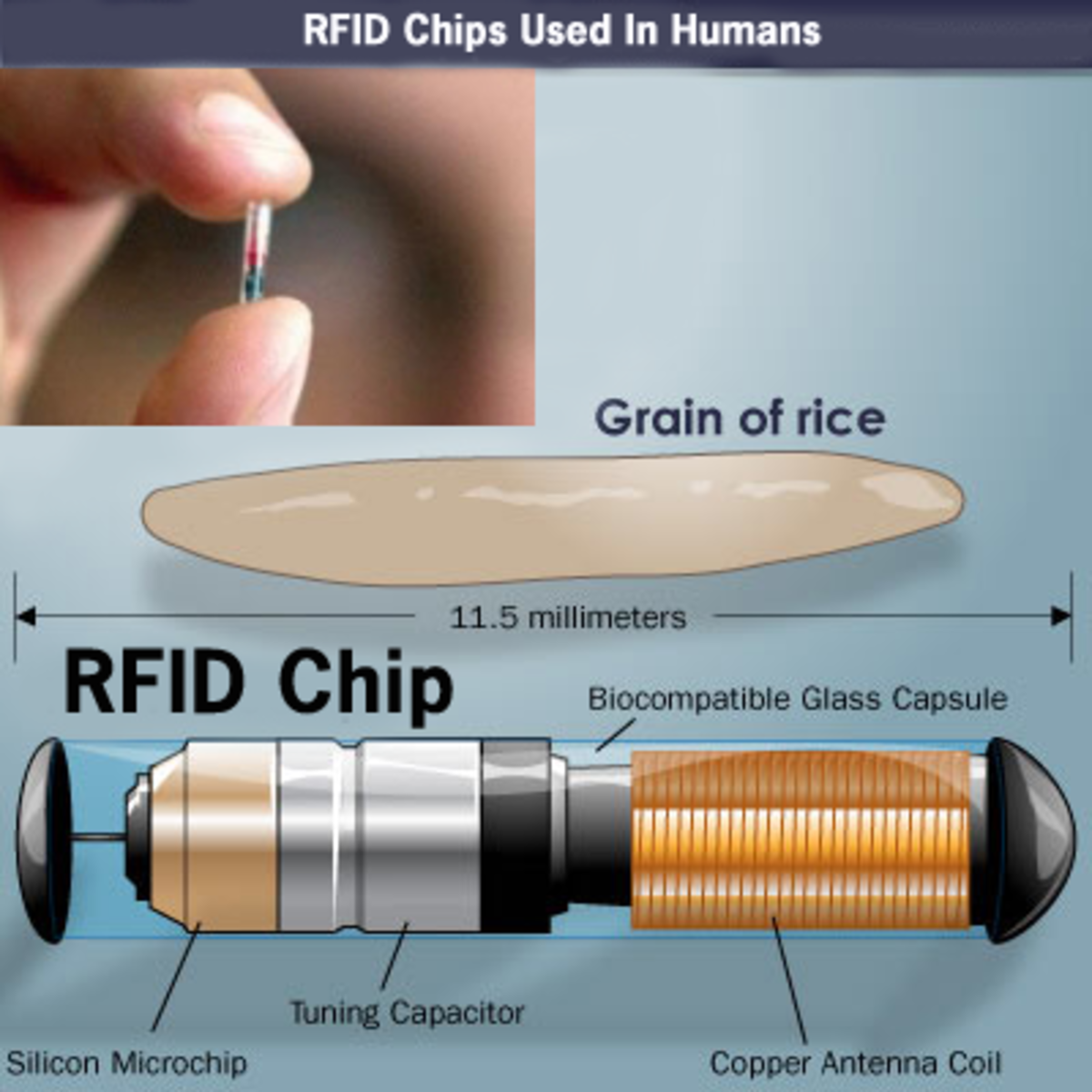 Rfid Tracking Technology and How Rfid Tags Are Used