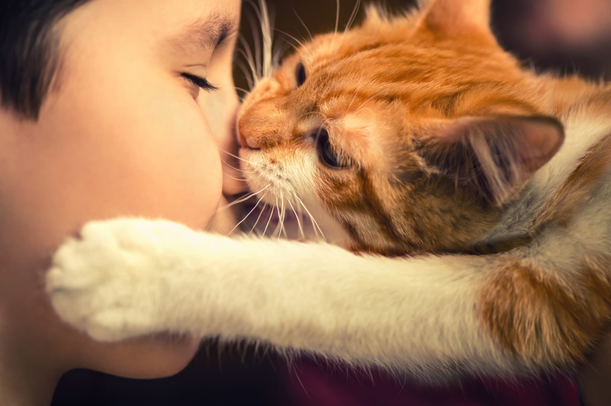 5 Reasons Why Your Cat Bites Your Nose