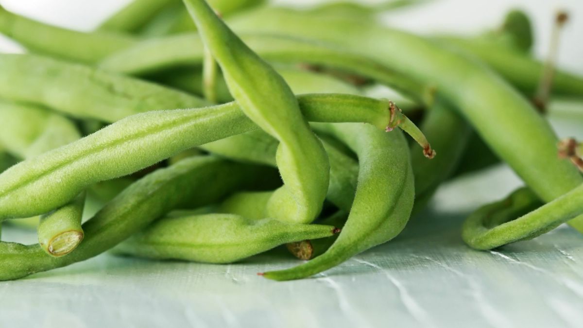 Little Wilty String Beans, This Poem Is About You
