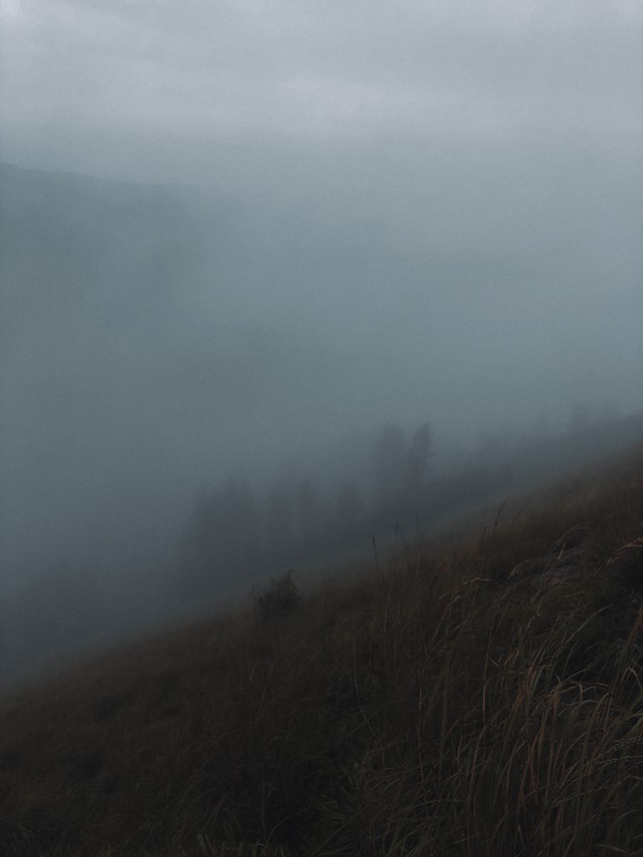 Symphony of Silence the Dance of Unheard Whispers and Soundless Orchestra