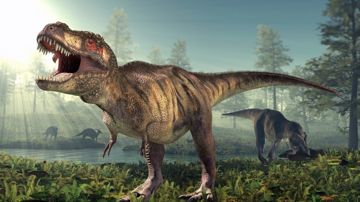 Tyrannosaurus Rex: 5 Facts About the Tyrant Lizard King
