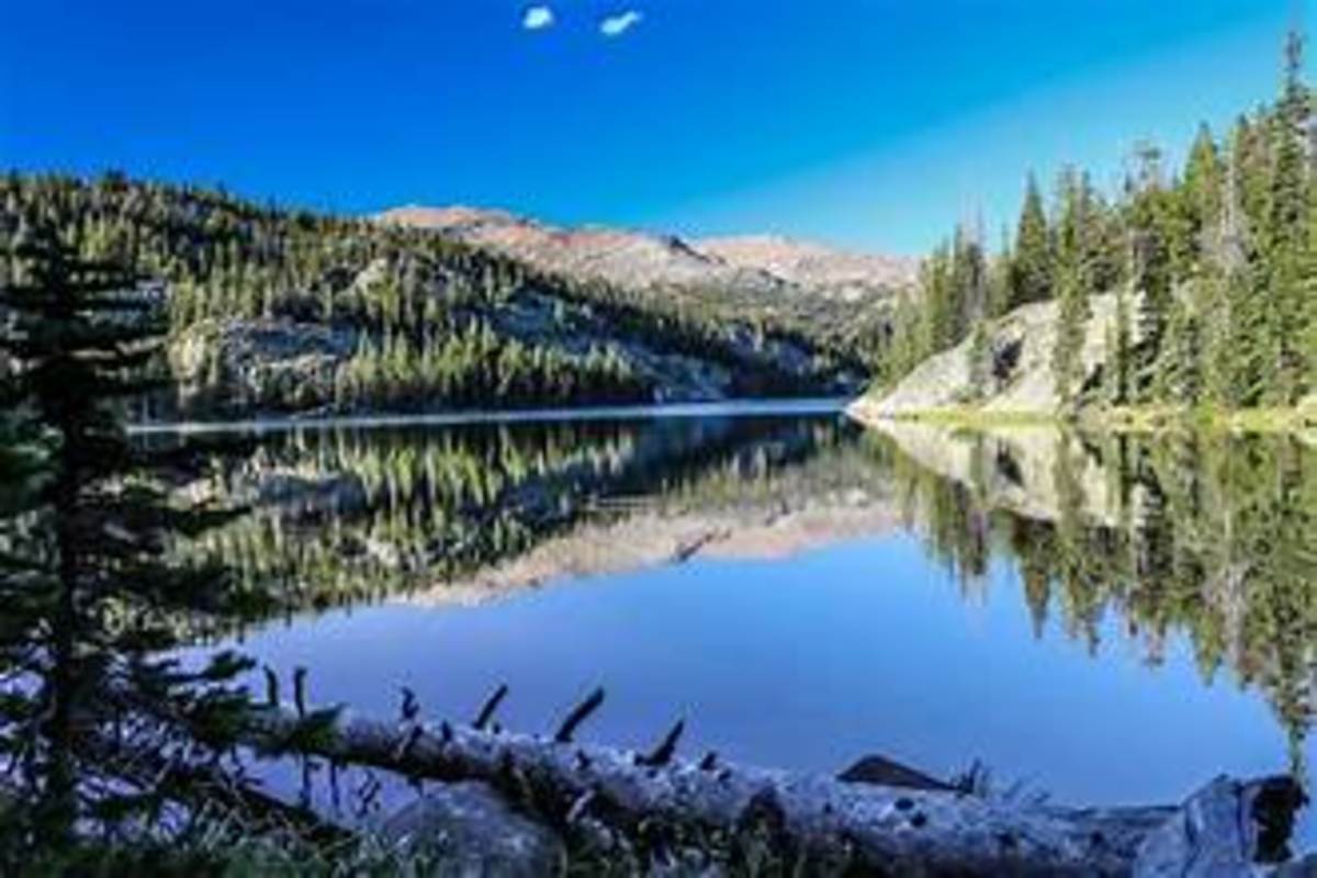 Camping, Fishing, and Hiking in Bighorn National Forest