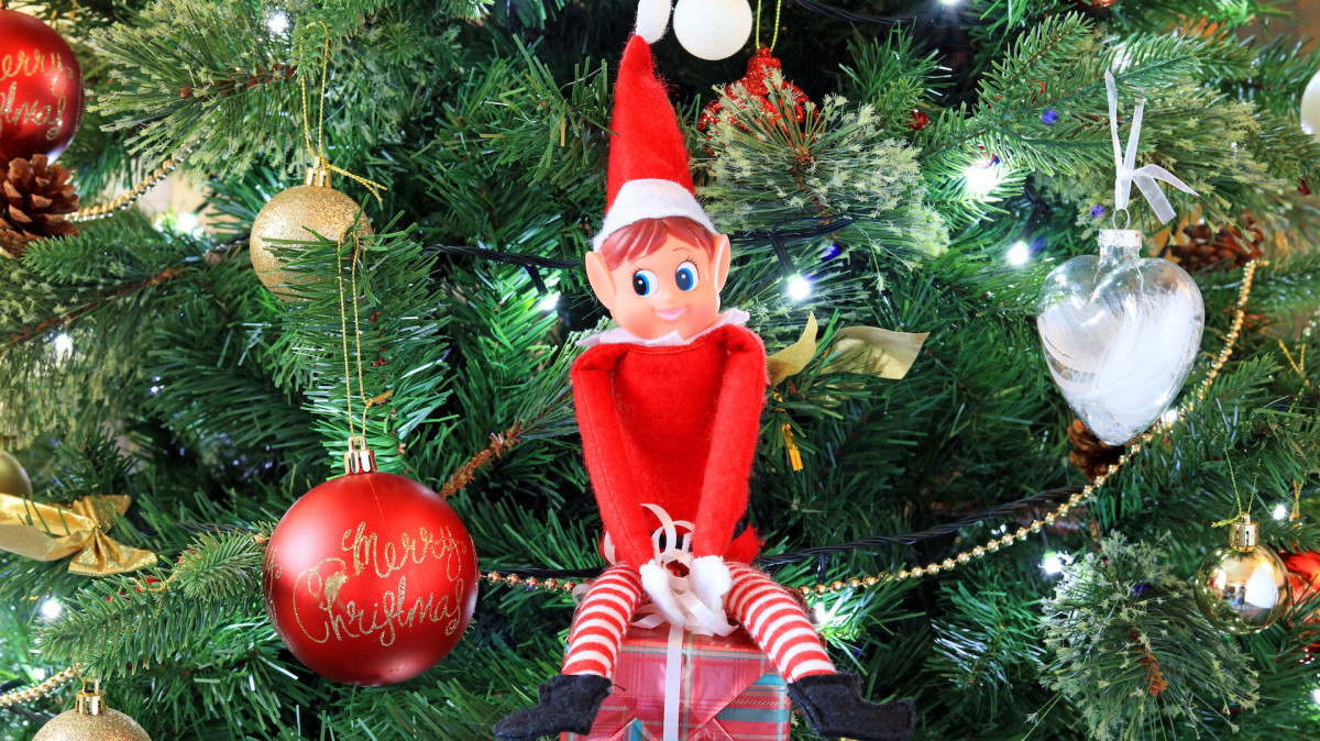 Toddler Boy Has Very Unexpected Reaction to Elf on the Shelf ...