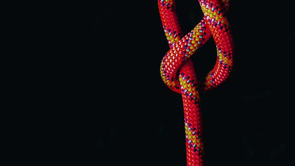 What Is the Science of Knots?