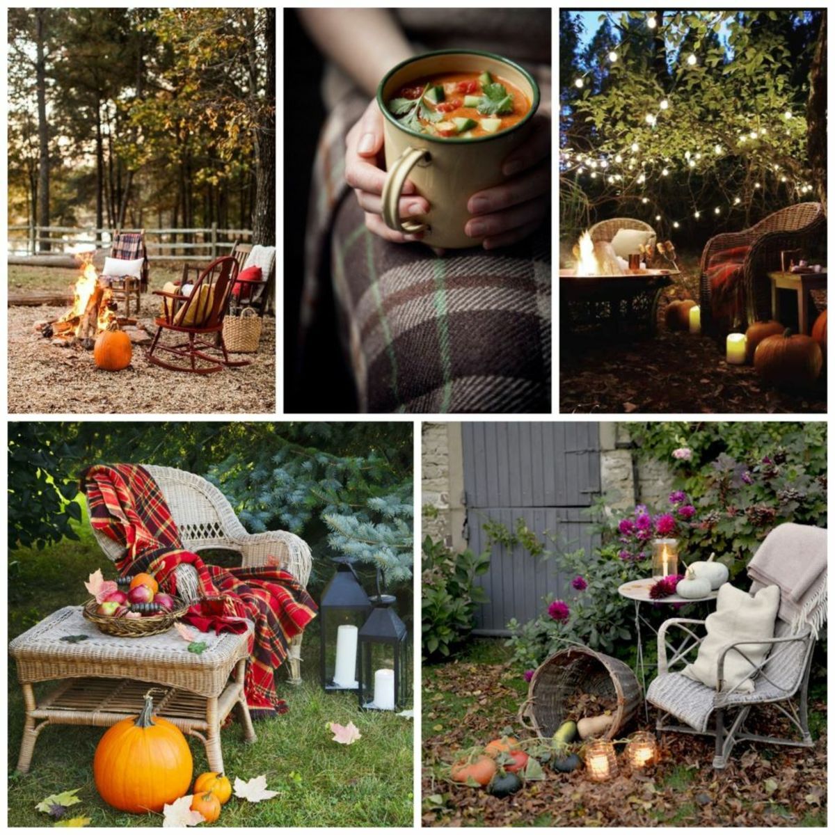 Quick Autumn Garden Ideas for Thanksgiving Day - HubPages