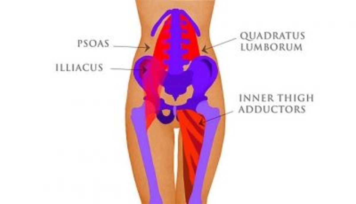 Inner Thigh Pain - HubPages