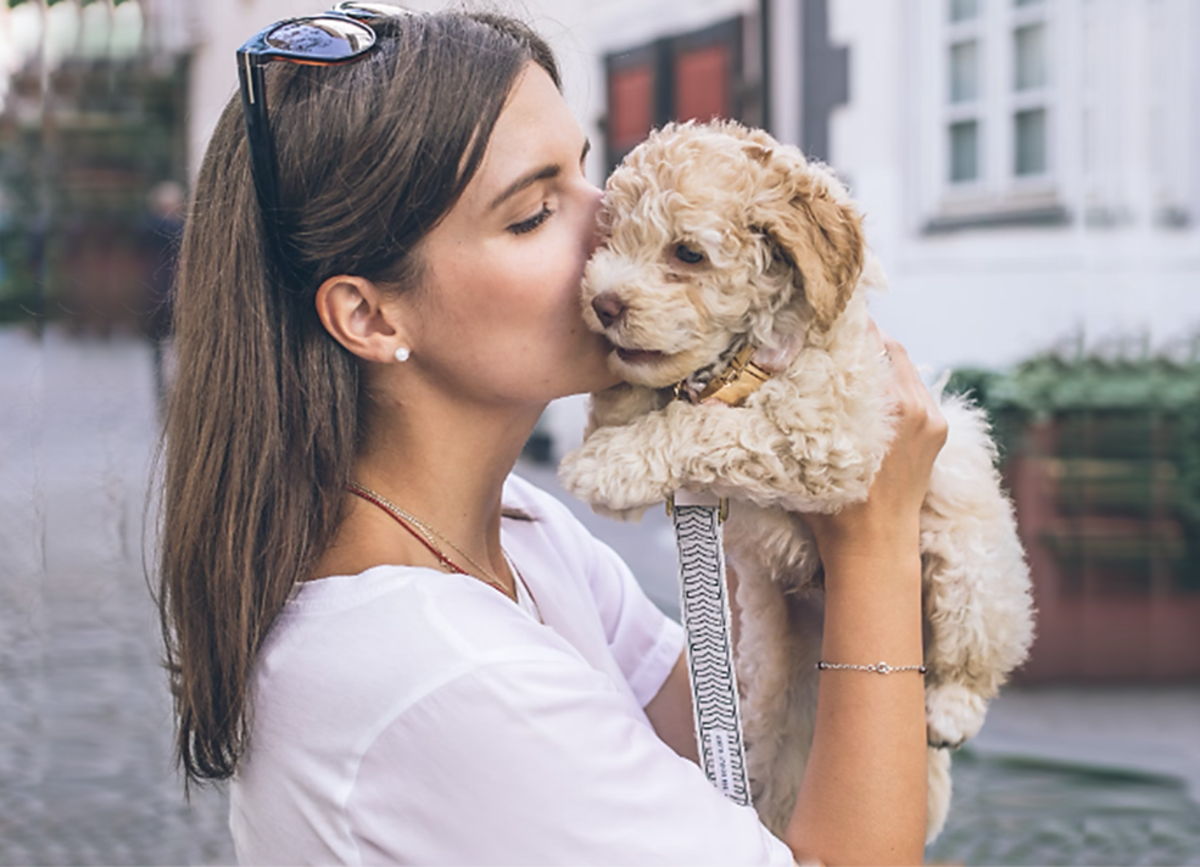 11 Best Therapy Dogs For Emotional Support - HubPages