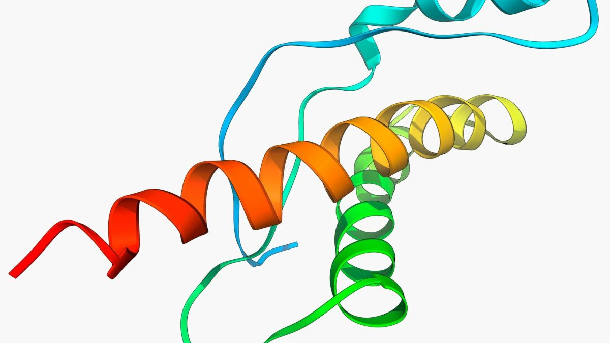What Is the CREB Protein and How Does It Aid in Memory Allocation?