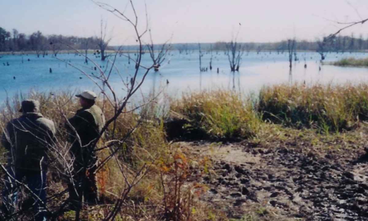 Searchers at Lake Seminole in Florida searching for missing man Mike Williams