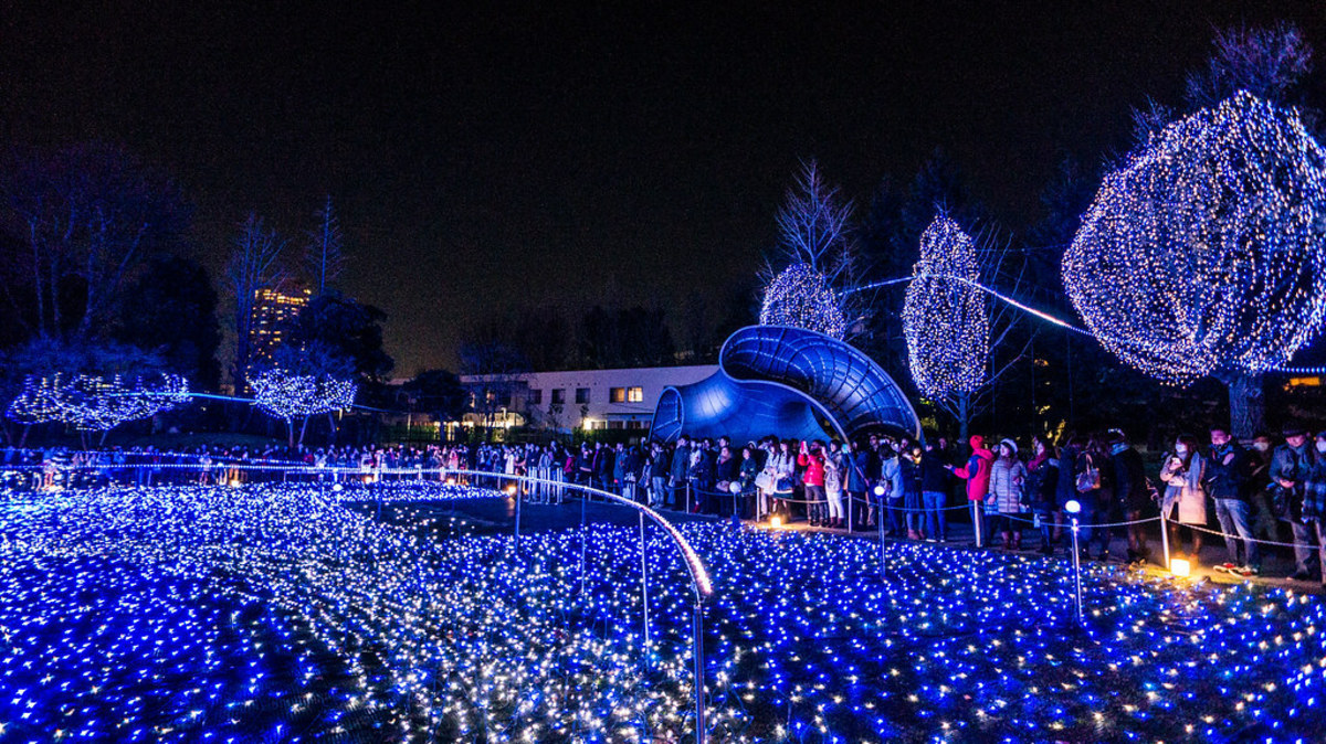 Tokyo's Christmas Extravaganza: 5 Must-See Delights for the Festive Season