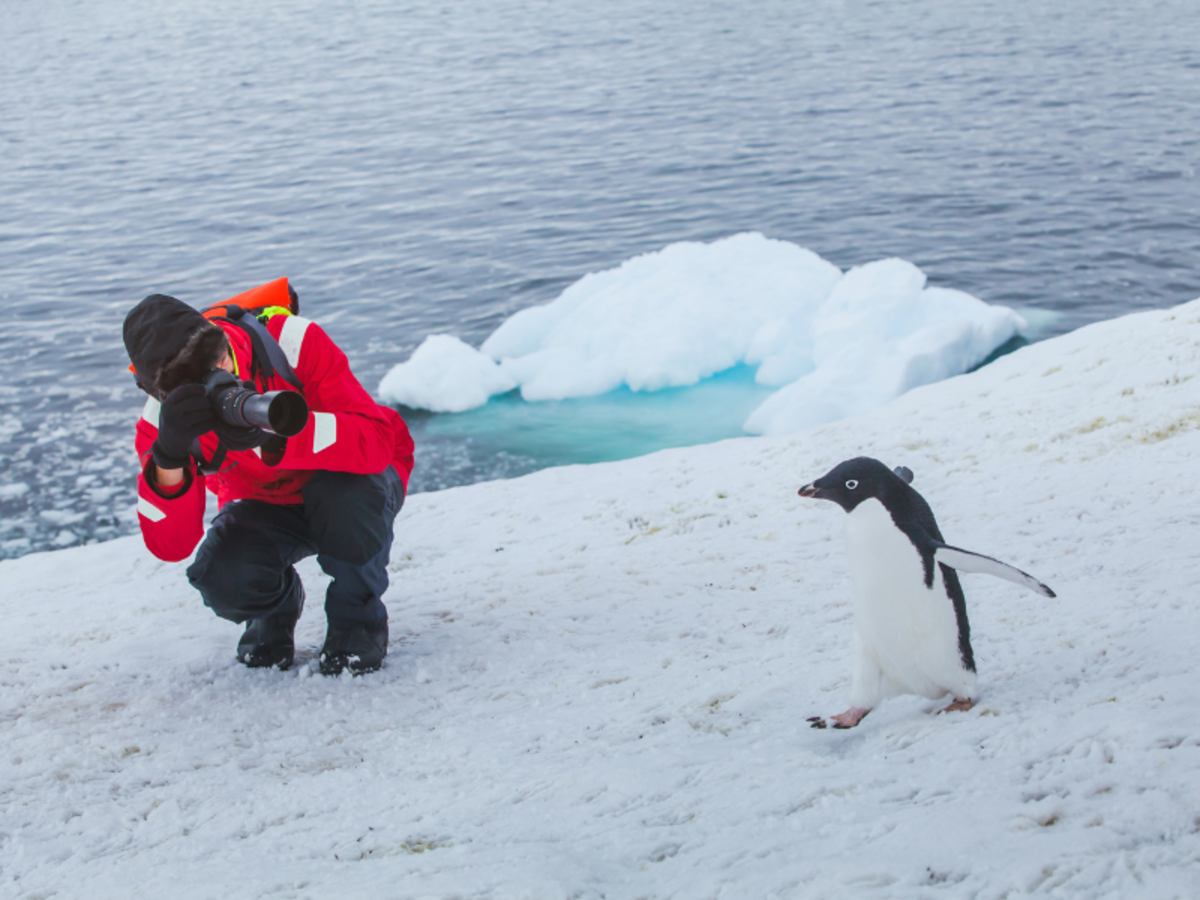 10 Fascinating Facts About Antarctica - HubPages