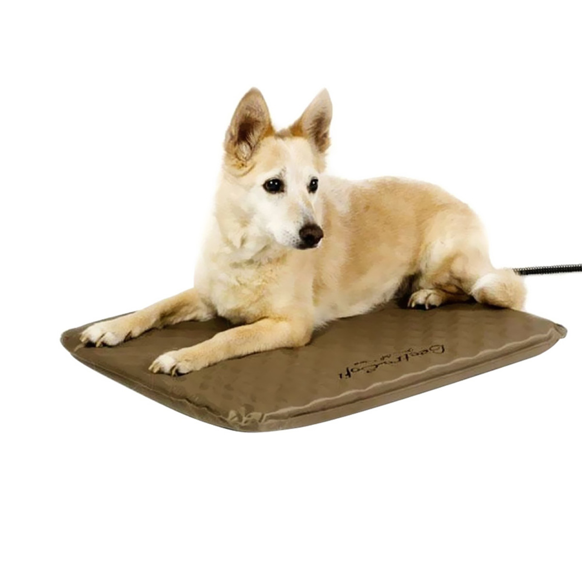 Different types of dog clearance beds