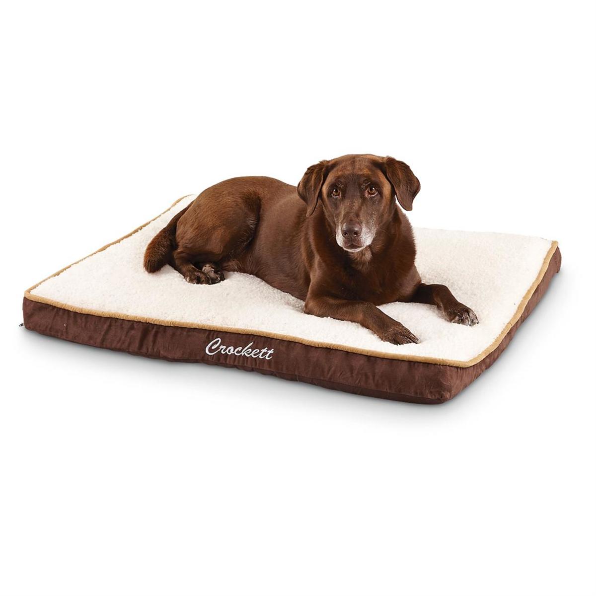 The Different Types of Dog Beds - HubPages