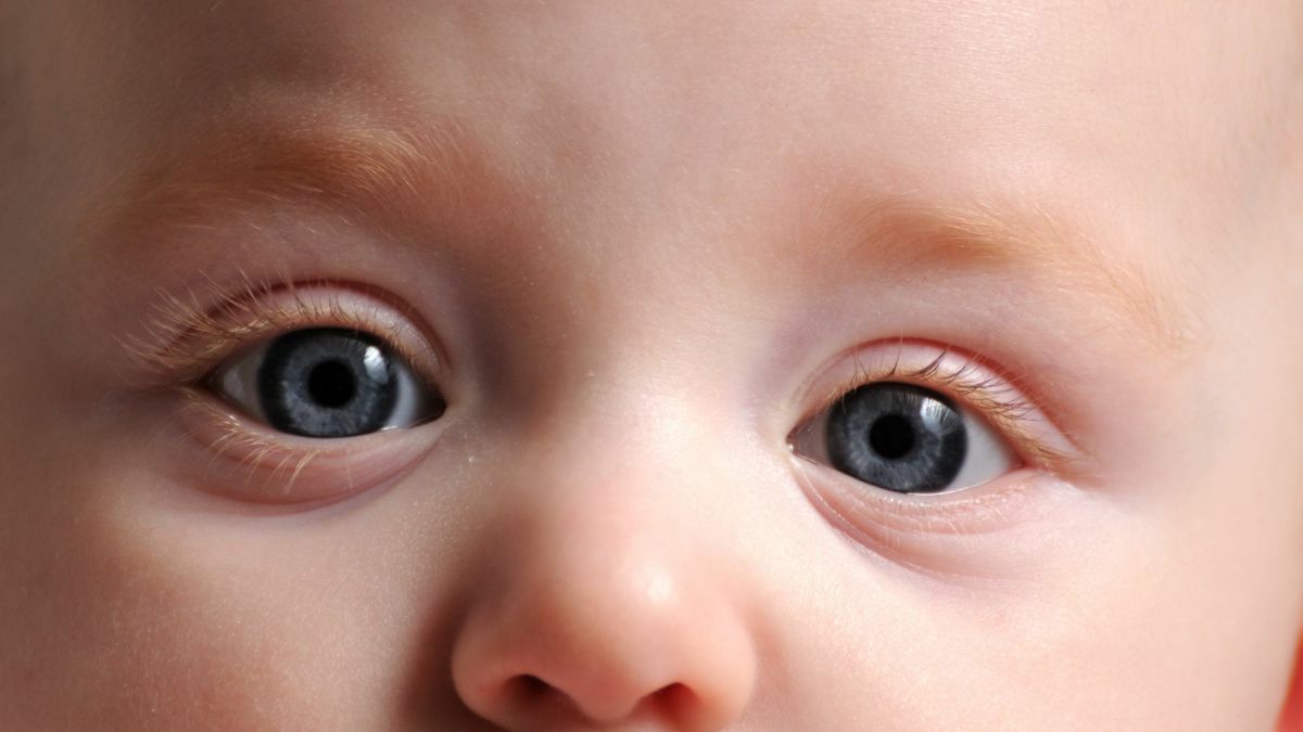 Visual Perception and Babies: What Do Babies See?