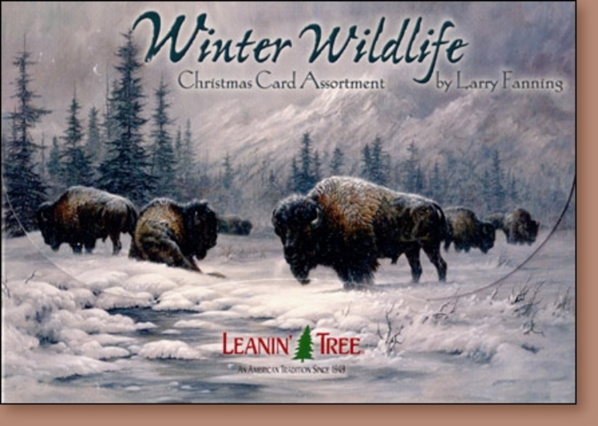 Wildlife Christmas Cards