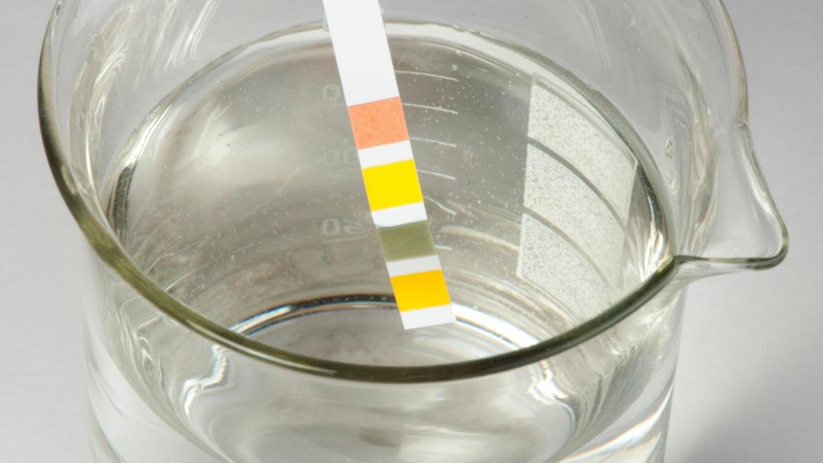 How to Make Your Own Neutral Litmus Paper