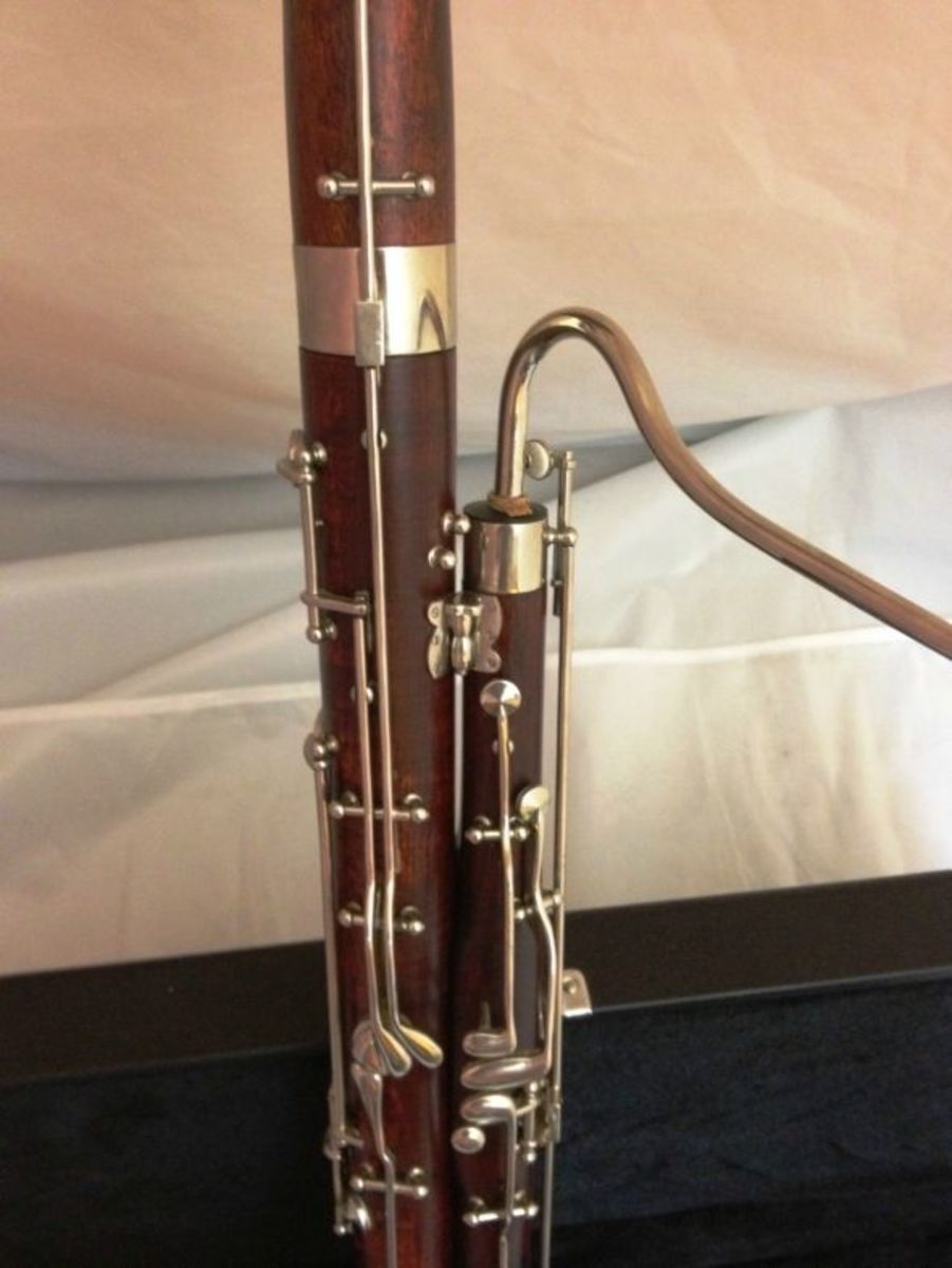 Learning to Play a Musical Instrumentthe Bassoon the Clown of the
