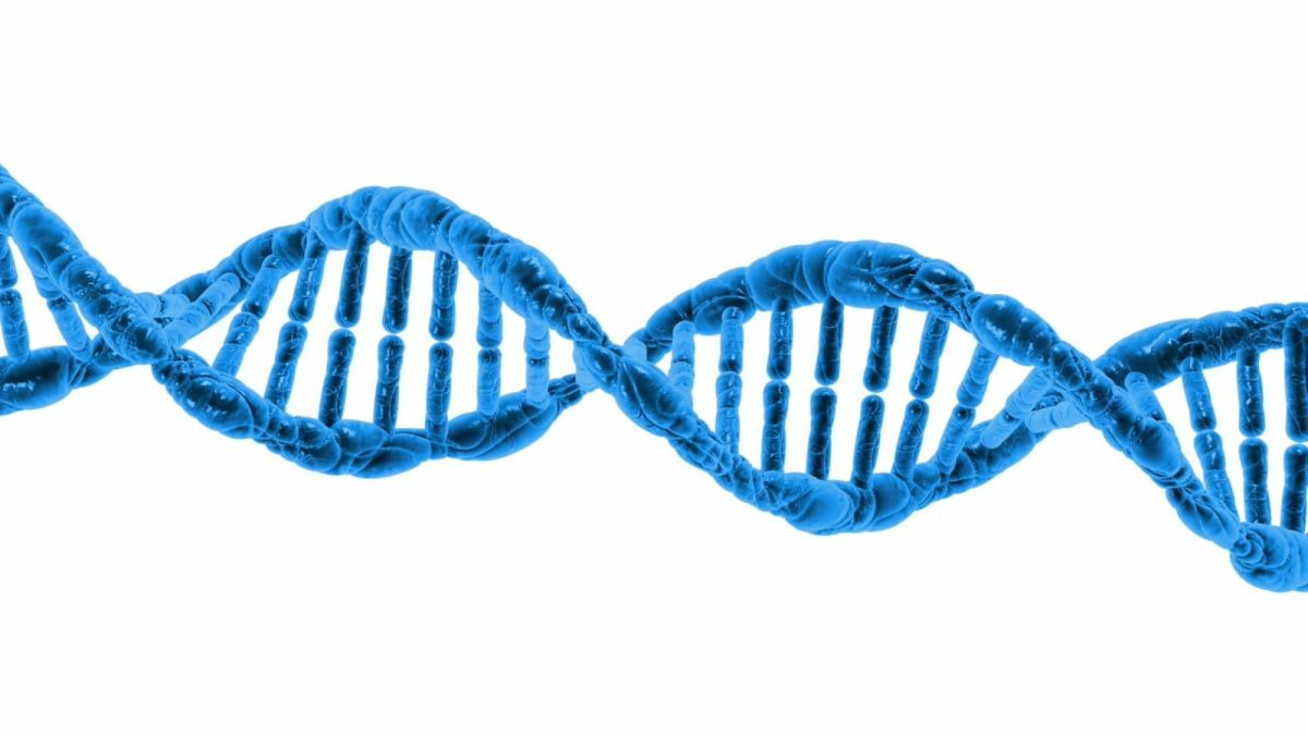 Genetics: Transcription and Translation