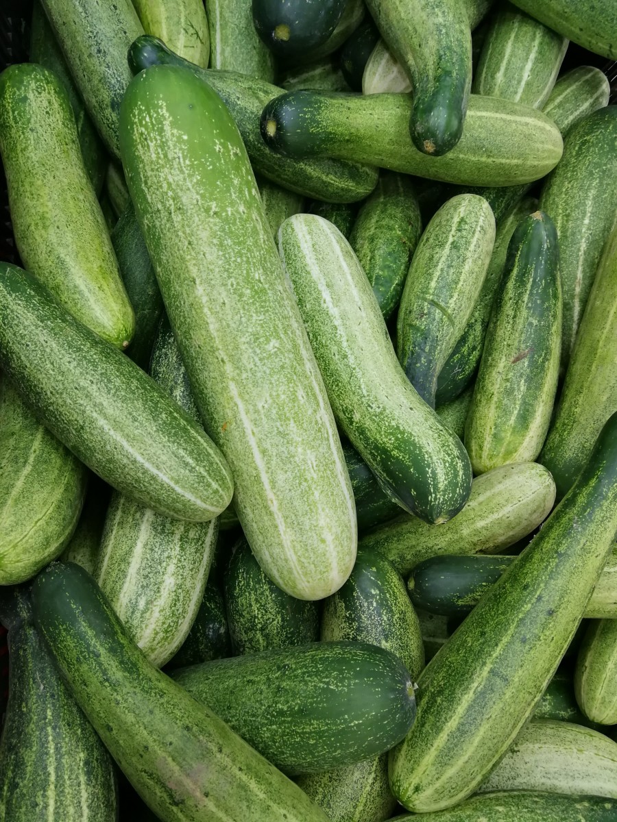 Facts about Consuming Cucumbers Everyday